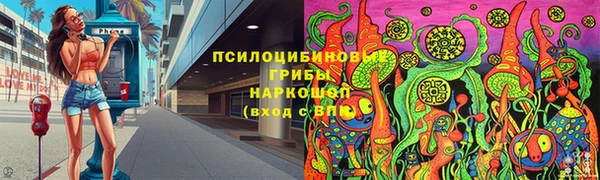 бошки Богородицк